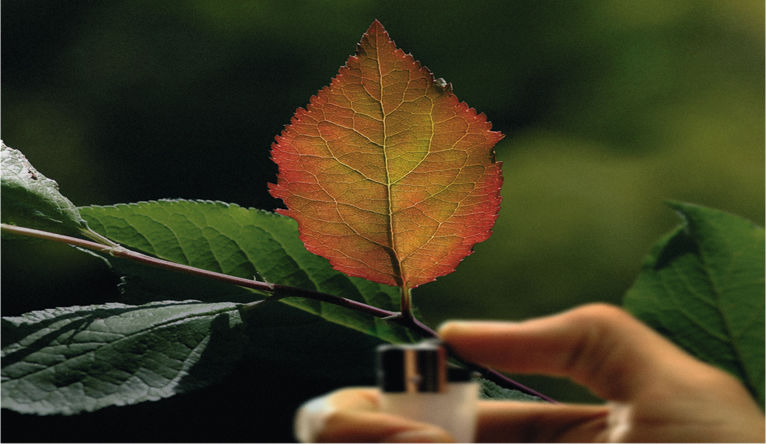 Diputaci_ de Barcel_na